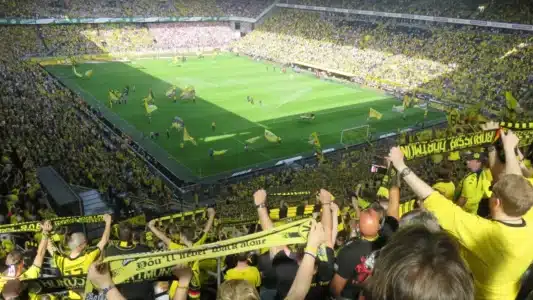Ultras