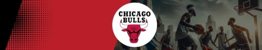 chicago bulls banner